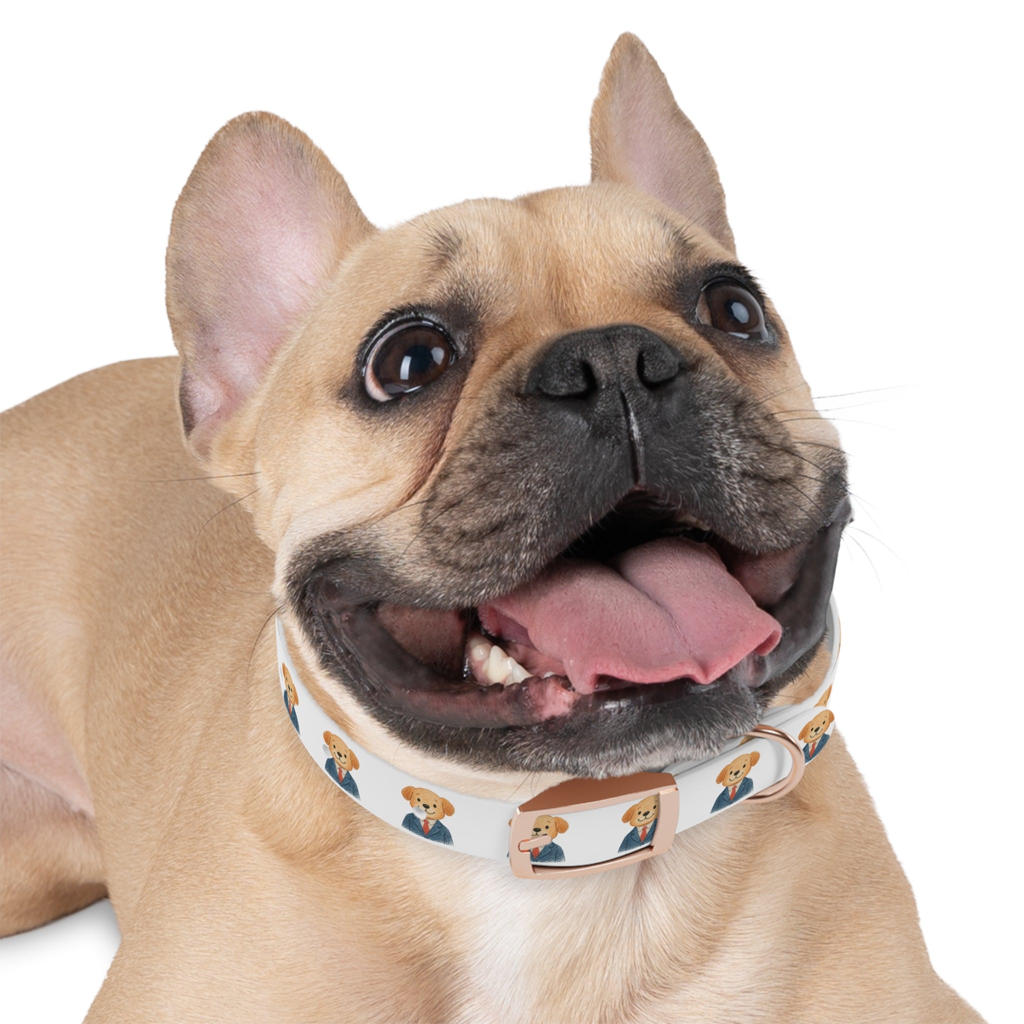 Playful Dog Collar with Kids Art Design.